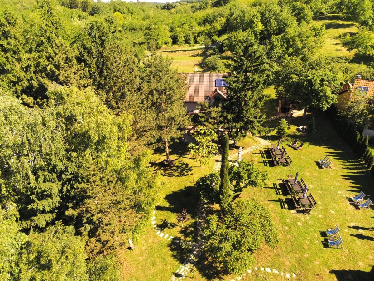 Vila Davidovic-Fruska Gora Mandelos Exterior photo